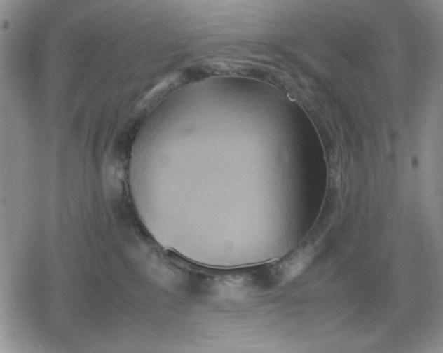 X0000079300235200612151735