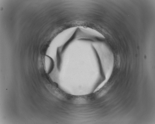 X0000079300236200612151735