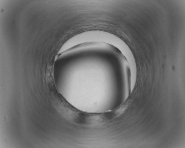 X0000079300237200612151735