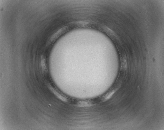 X0000079300238200612151735