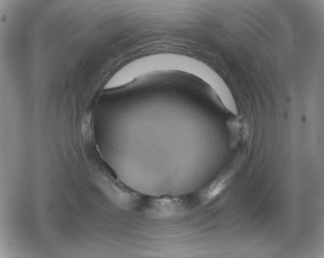 X0000079300239200612151735