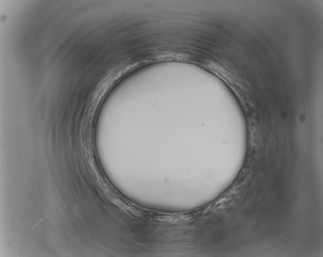 X0000079300241200612151734