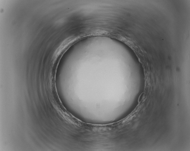 X0000079300242200612151734