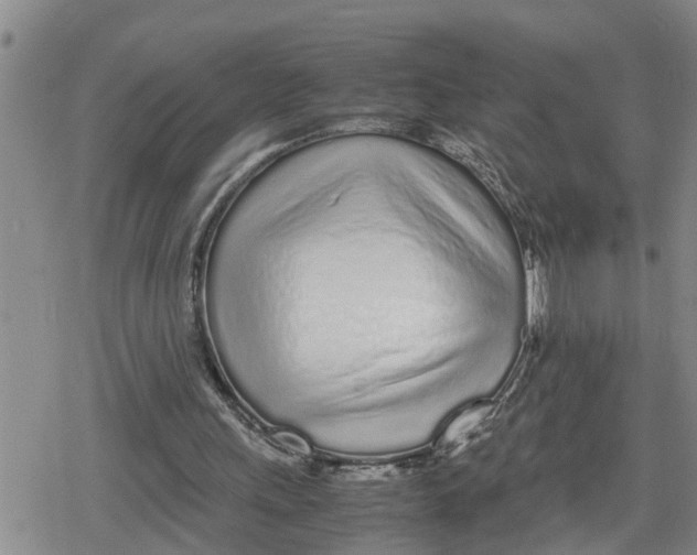 X0000079300243200612151734