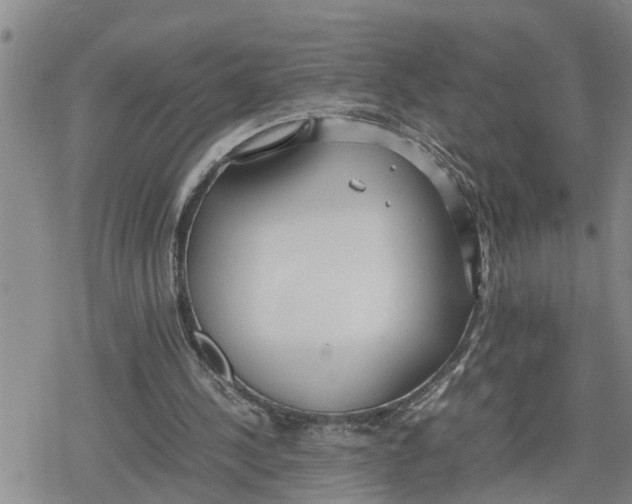 X0000079300244200612151734