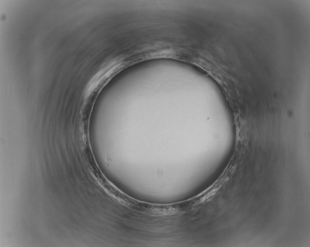 X0000079300245200612151734