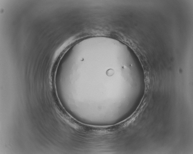 X0000079300246200612151734