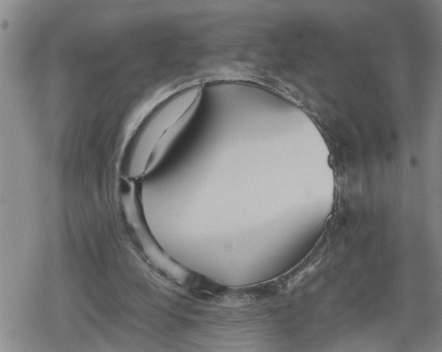 X0000079300248200612151734