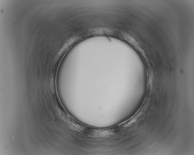 X0000079300249200612151734