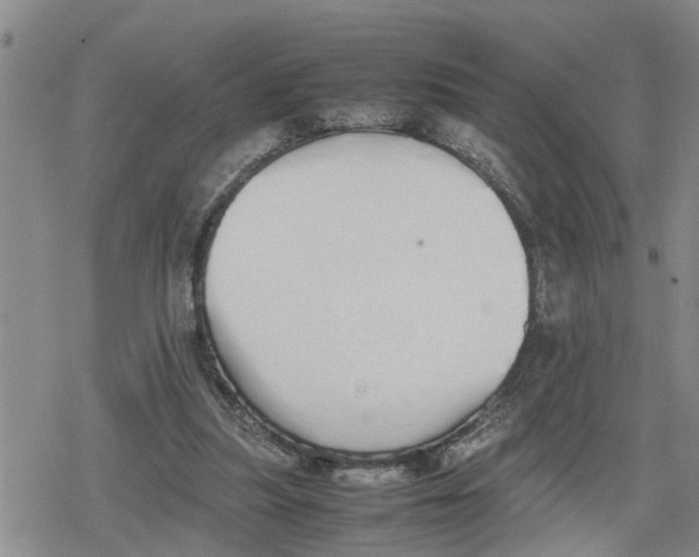 X0000079300251200612151734