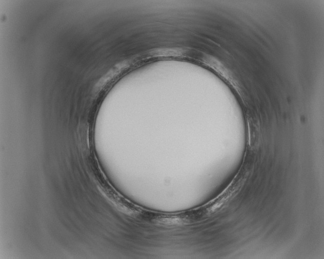 X0000079300253200612151734