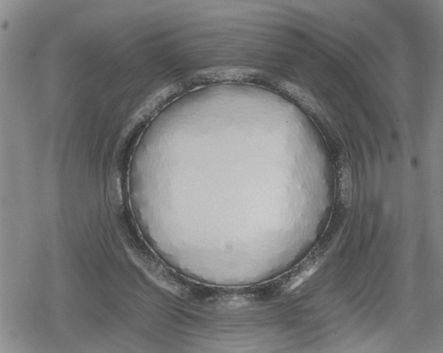 X0000079300254200612151734