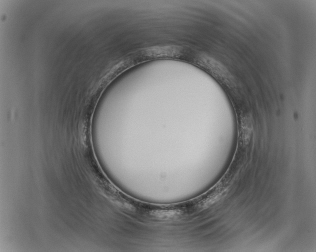 X0000079300255200612151734