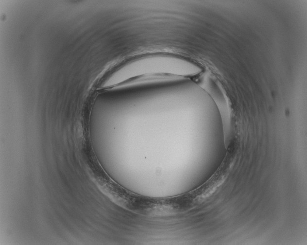 X0000079300256200612151734