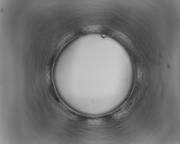 X0000079300259200612151734