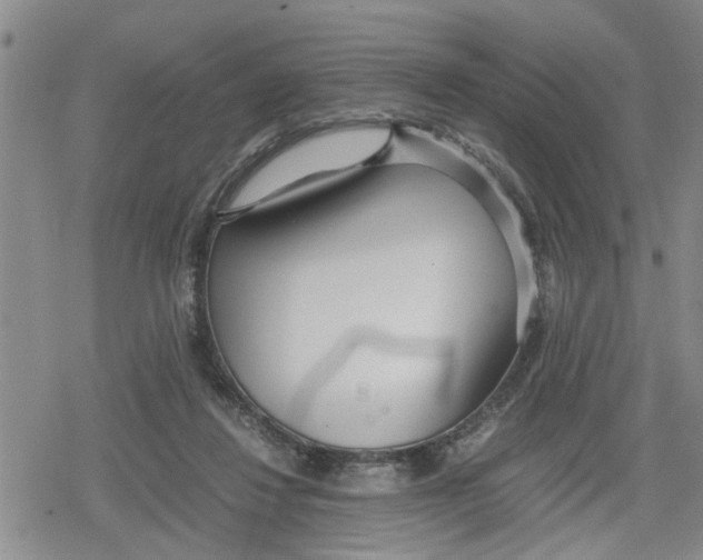 X0000079300260200612151734