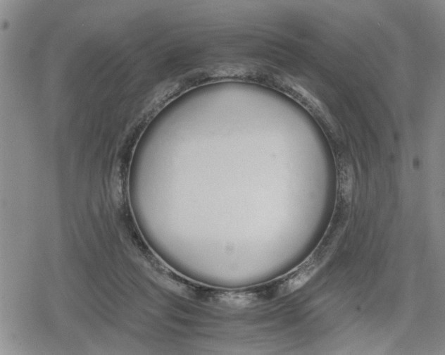 X0000079300261200612151734