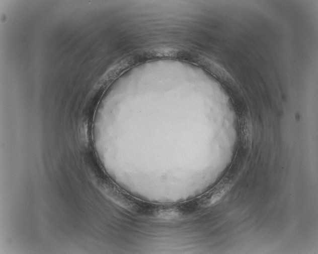 X0000079300262200612151734