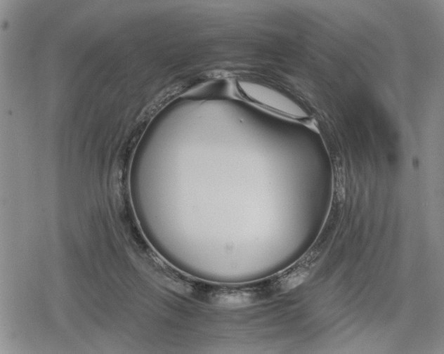 X0000079300263200612151734