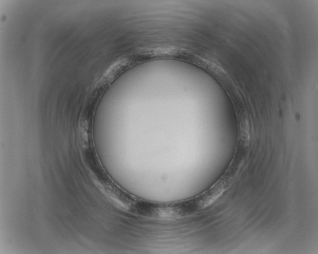 X0000079300264200612151734