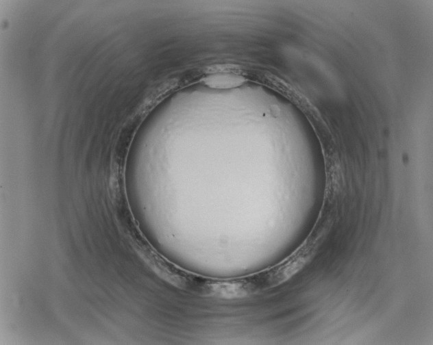 X0000079300265200612151734