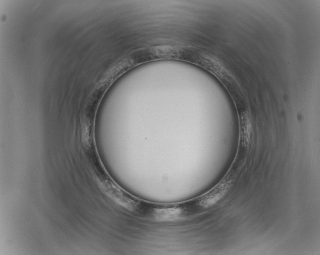 X0000079300266200612151734