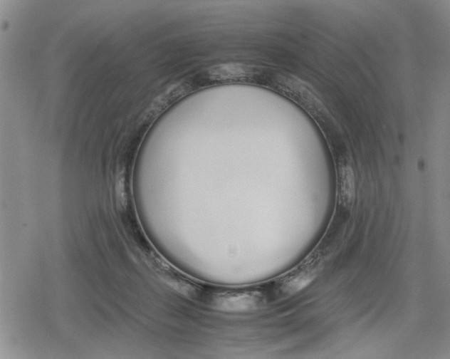 X0000079300267200612151734