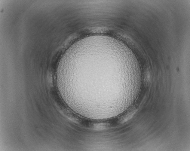 X0000079300268200612151734