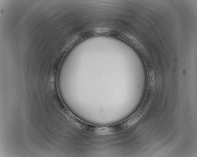 X0000079300269200612151734