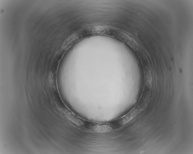 X0000079300270200612151734