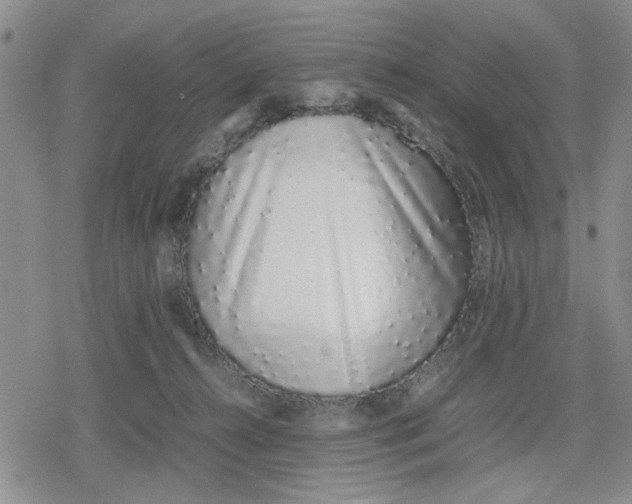 X0000079300272200612151734