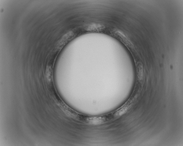 X0000079300273200612151735