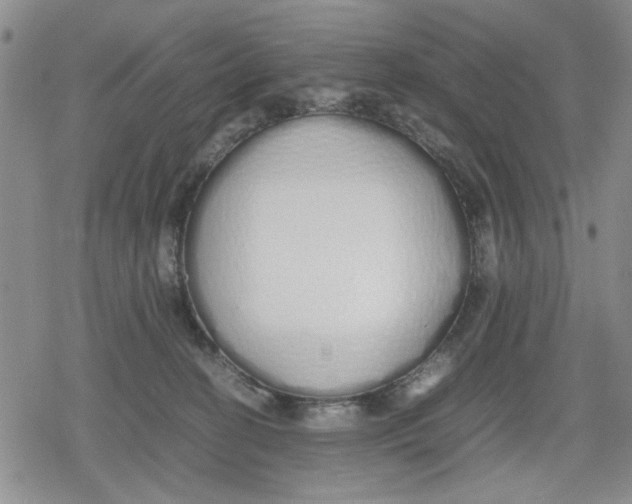 X0000079300274200612151735