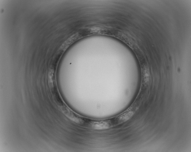 X0000079300275200612151735