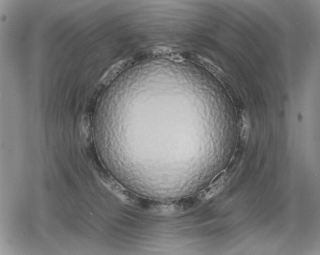 X0000079300276200612151735