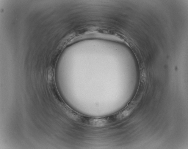 X0000079300277200612151735