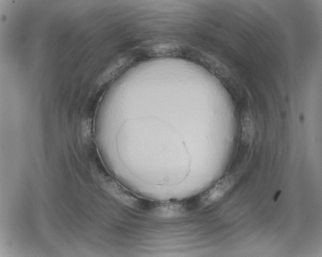 X0000079300278200612151735