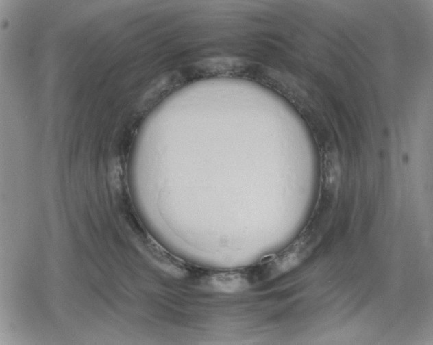 X0000079300279200612151735