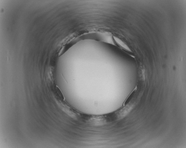 X0000079300280200612151735