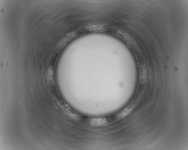 X0000079300281200612151735