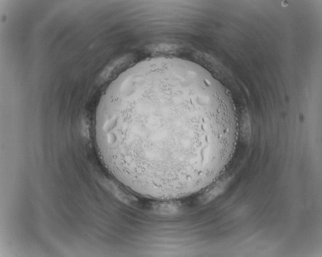 X0000079300282200612151735