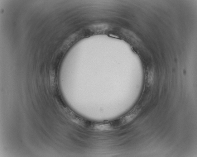 X0000079300283200612151735