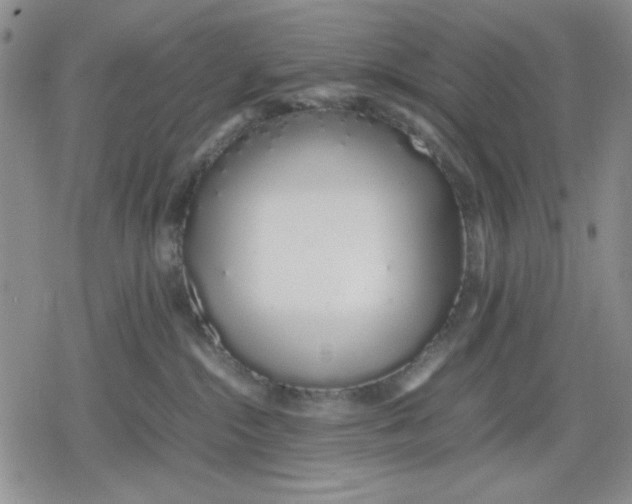 X0000079300284200612151735