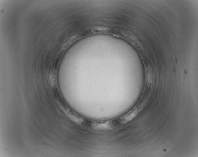 X0000079300285200612151735