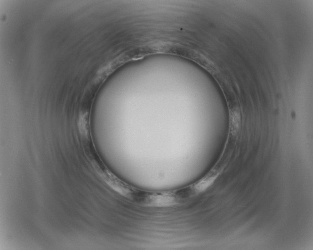 X0000079300286200612151735