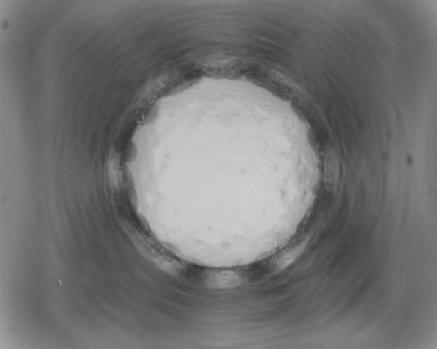 X0000079300287200612151735