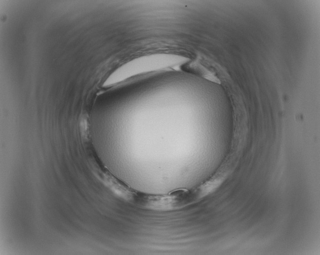 X0000079300288200612151735