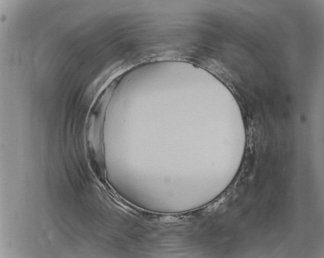 X0000079300290200612151734