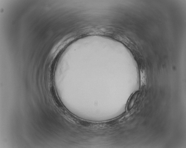 X0000079300291200612151734