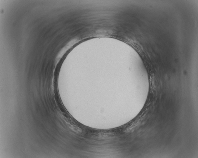 X0000079300292200612151734